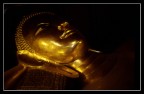 Buddha Buddha