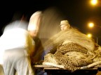Pescatori al lavoro Pescatori al lavoro