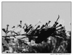 Untitled #1 Untitled #1