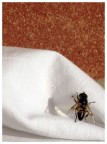 La mia prima macro La mia prima macro