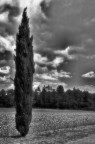 silenzio silenzio