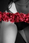 il boa rosso il boa rosso