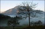 Nebbia Nebbia