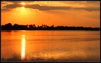 cuba #5 giallo cuba #5 giallo