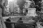 La panchina La panchina