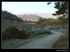 Stradina di campagna Stradina di campagna