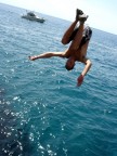 fly fly