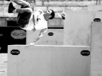 parkour parkour