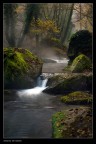 Nel bosco_4 Nel bosco_4