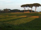 parco degli acquedotti ROMA