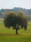 colori d' autunno colori d' autunno