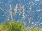 Mare di sicilia Mare di sicilia