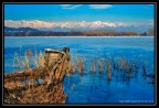 Il lago di Candia a febbraio. Candia, Torino Il lago di Candia a febbraio. Candia, Torino
