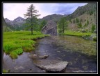 Pian del Valasco, Parco Naturale delle Alpi Marittime, Cuneo Pian del Valasco, Parco Naturale delle Alpi Marittime, Cuneo