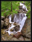 Pian del Valasco, Parco Naturale delle Alpi Marittime, Cuneo Pian del Valasco, Parco Naturale delle Alpi Marittime, Cuneo