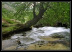 Pian del Valasco, Parco Naturale delle Alpi Marittime, Cuneo Pian del Valasco, Parco Naturale delle Alpi Marittime, Cuneo