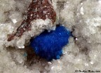 Cavansite
