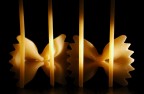 Farfalle in gabbia Farfalle in gabbia