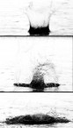 splash splash