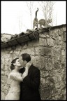 Sposi Sposi