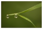 lenti d'ingrandimento lenti d'ingrandimento