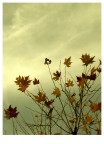 Inner Winter Inner Winter