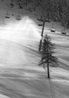 Neve Sparata o neve vera? Neve Sparata o neve vera?