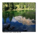 riflessi in acqua - selezionata e pubblicata da IL FOTOGRAFO