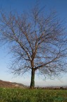 l'autunno l'autunno
