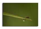 Nel mezzo Nel mezzo