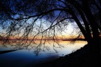 L'albero dei ricordi L'albero dei ricordi