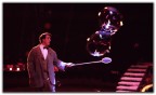 Al circo Al circo