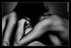 I corpi...solo i corpi... I corpi...solo i corpi...