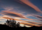 Alba Novembrina Alba Novembrina
