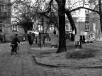 Radom City