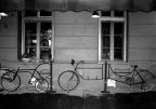 Bicycles Bicycles