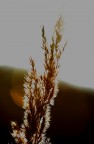 il sole su Tutto il sole su Tutto