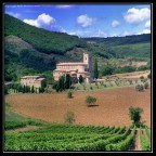 L'Abbazia di Sant'Antimo, Montalcino