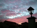 alba #2 alba #2