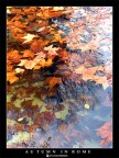 Autumn in Rome#3 Autumn in Rome#3