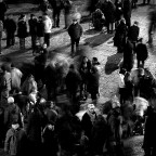 Ed ora...che faccio..?..