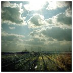 Ancora una Holga, questa volta a colori.
Ogni commento � il benvenuto
gianna