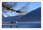 decisione da prendere... decisione da prendere...