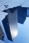 New York #1 New York #1