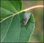 Brrr...Brrr... ma che freddo fa !!!