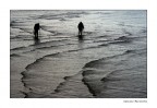 Pesca dei gamberi Pesca dei gamberi