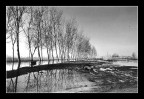 Padule di Fucecchio #2 Padule di Fucecchio #2