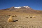 bolivia  deserto del siloli vulcano