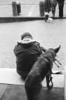 Waiting with my dog. Waiting with my dog.