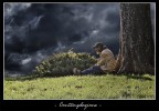 Contemplazione Contemplazione